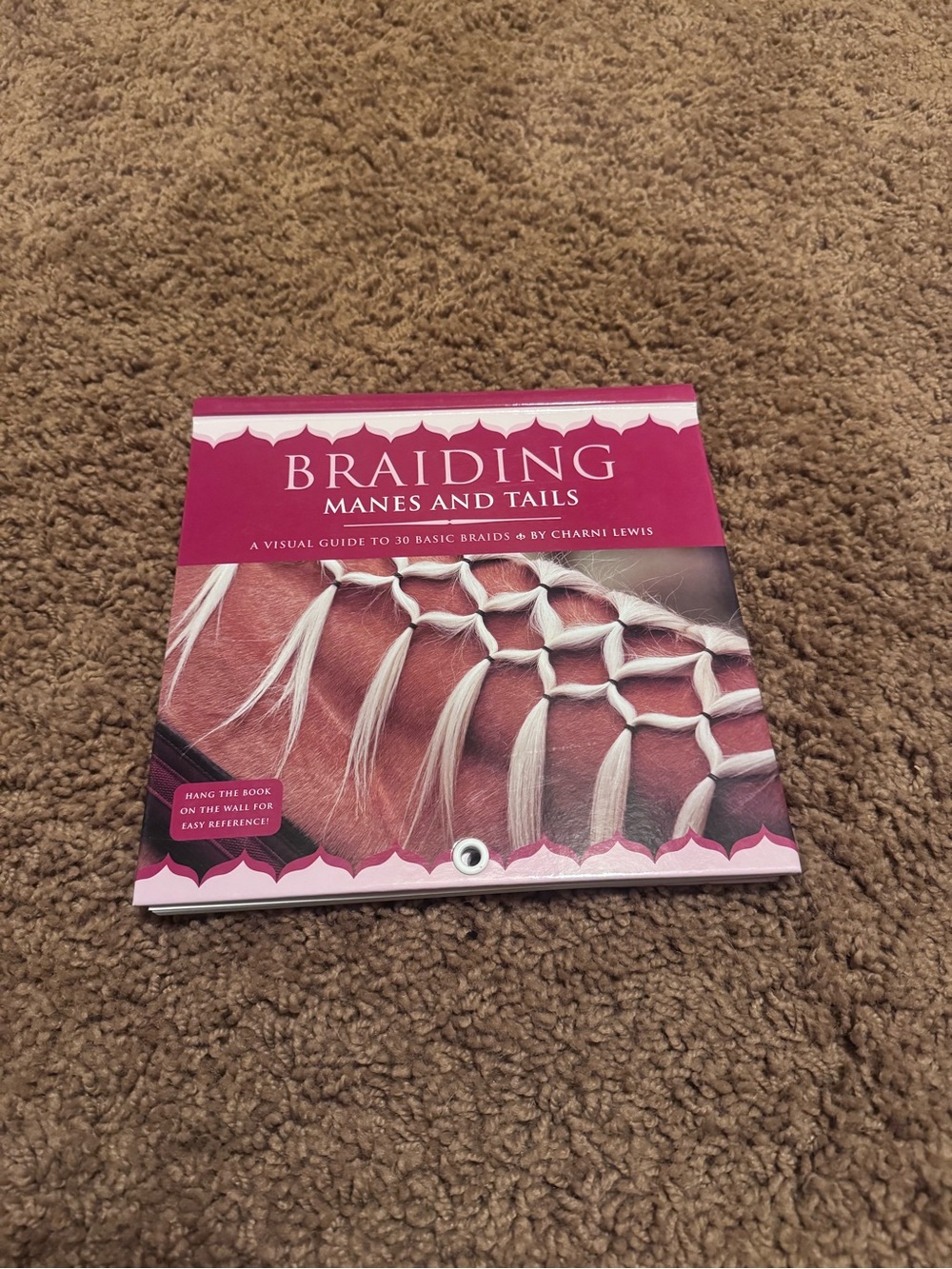 “Braiding Manes and Tails” Horse Book